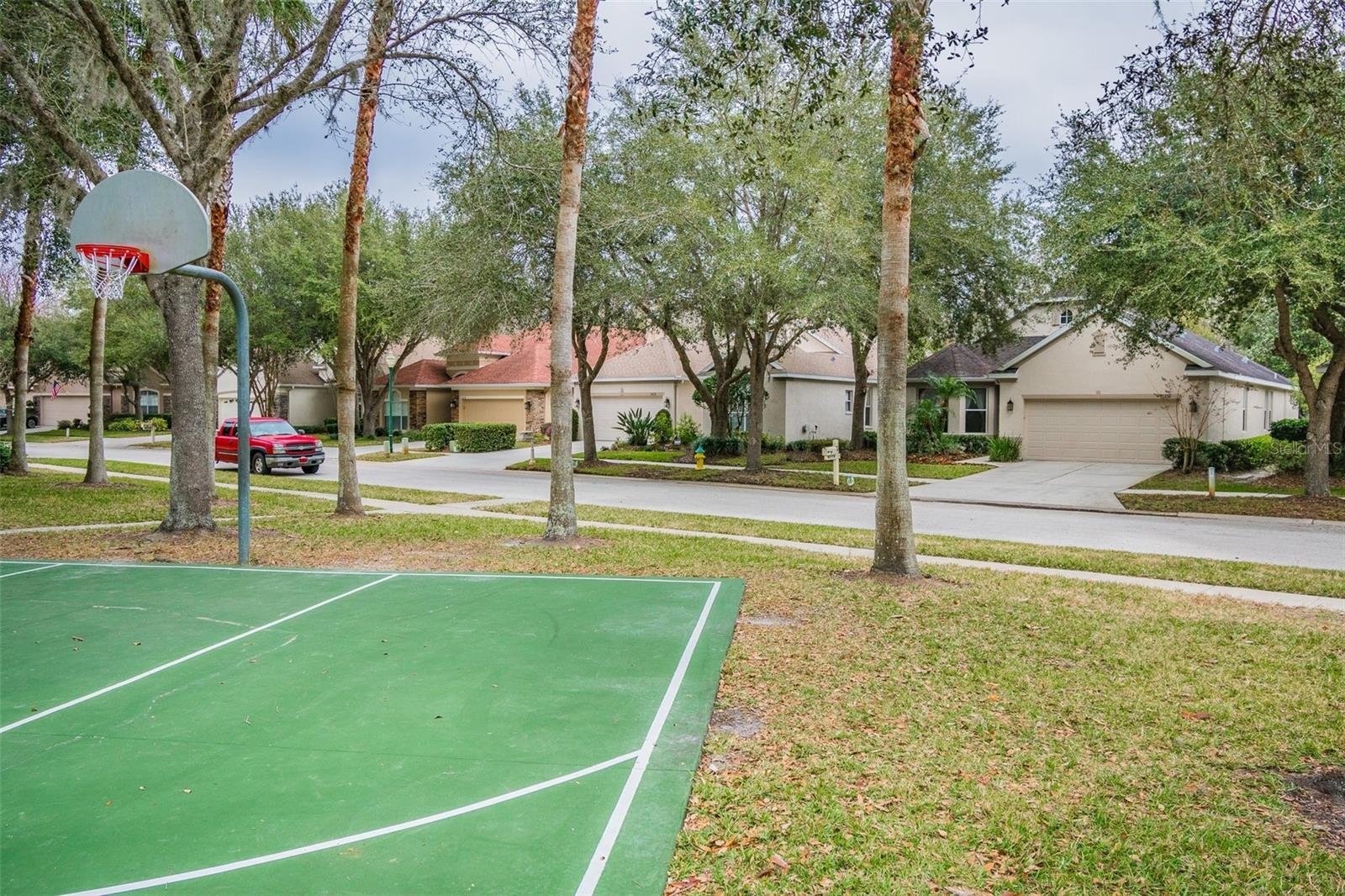 10144 ARBOR RUN DR #125, TAMPA, FL, 33647