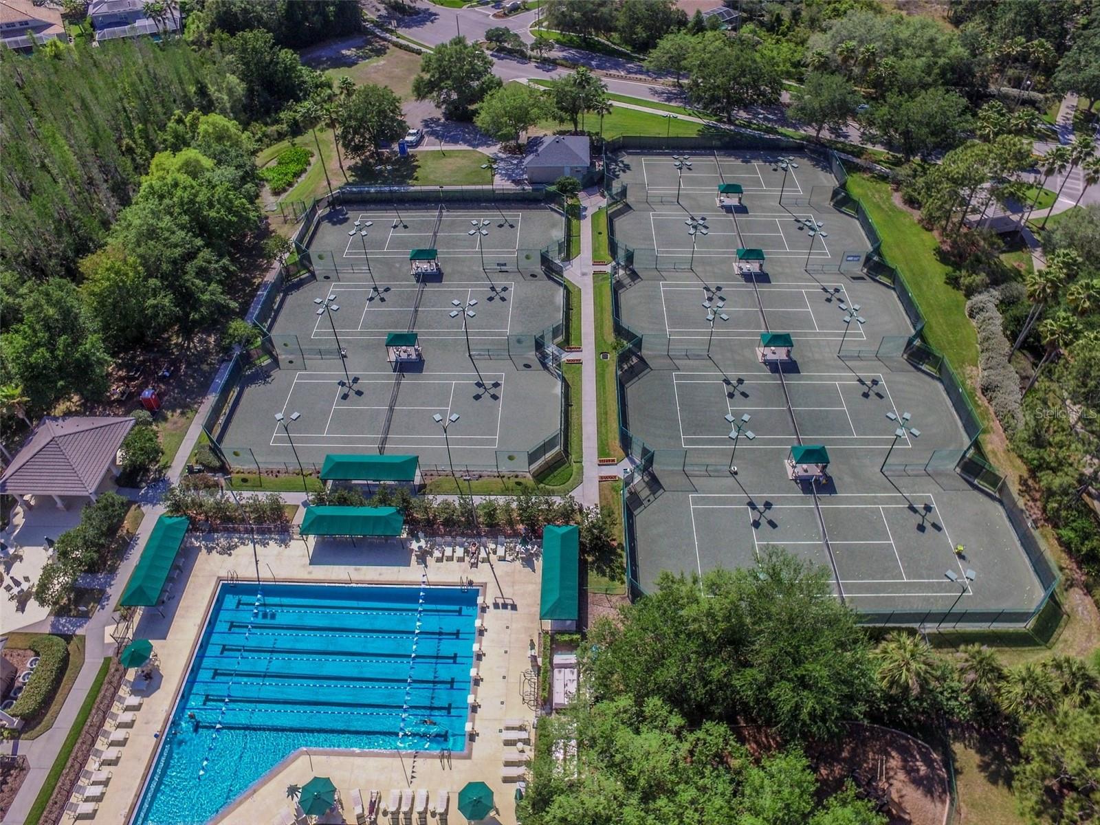 10144 ARBOR RUN DR #125, TAMPA, FL, 33647