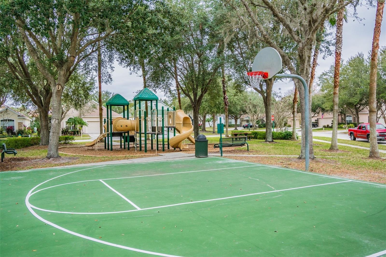 10144 ARBOR RUN DR #125, TAMPA, FL, 33647