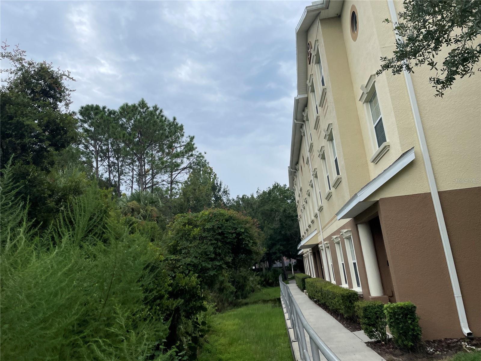 10144 ARBOR RUN DR #125, TAMPA, FL, 33647