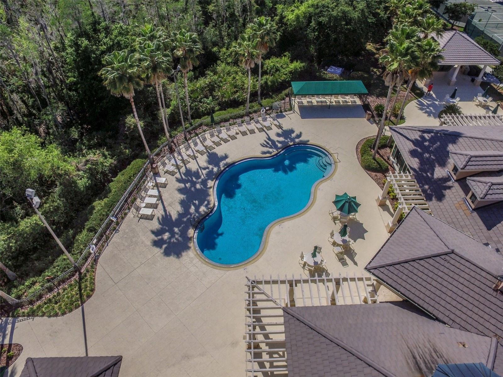 10144 ARBOR RUN DR #125, TAMPA, FL, 33647