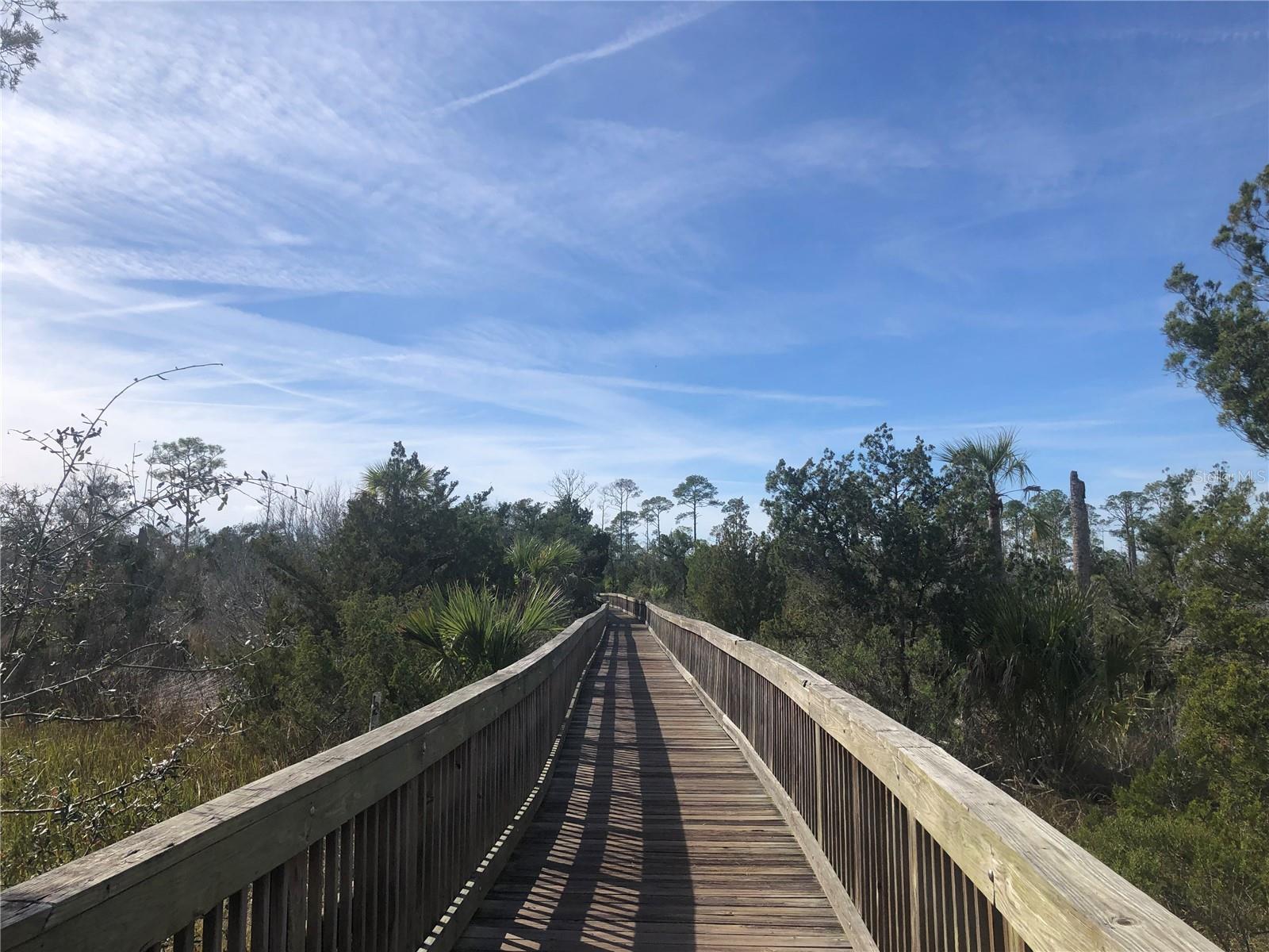 272 OCEAN PALM DR, FLAGLER BEACH, FL, 32136