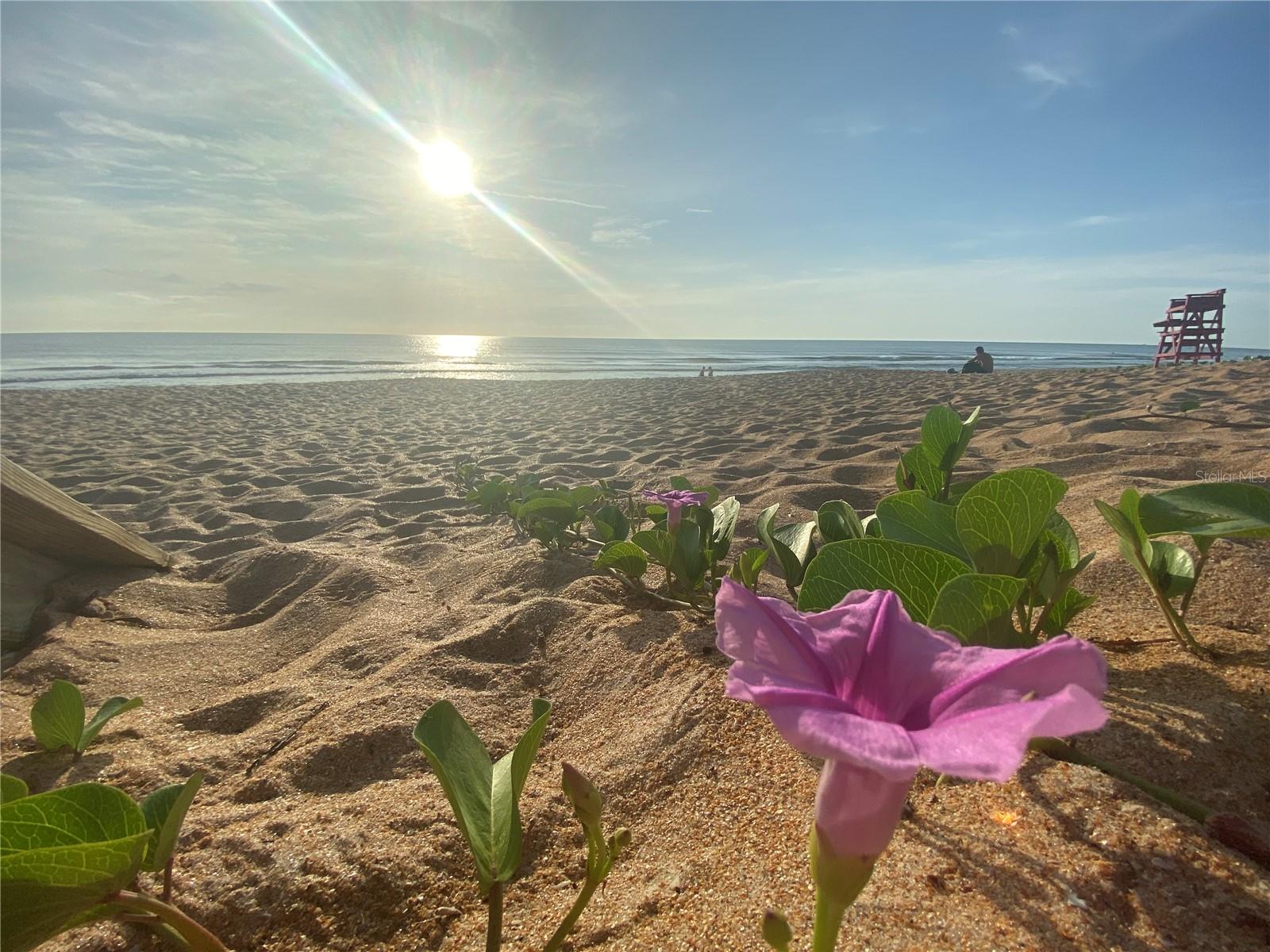 272 OCEAN PALM DR, FLAGLER BEACH, FL, 32136