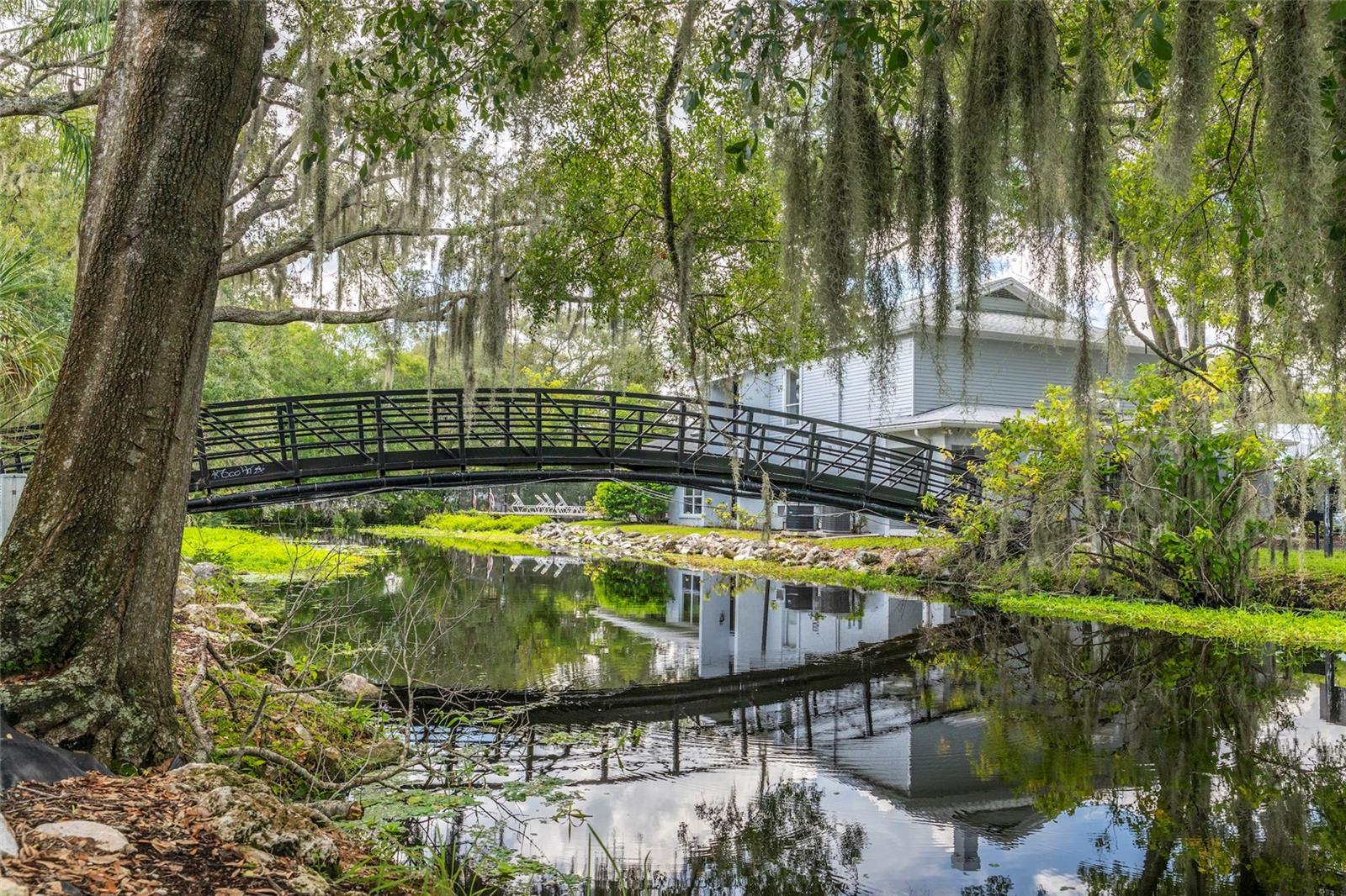 7402 E BANK DR, TAMPA, FL, 33617