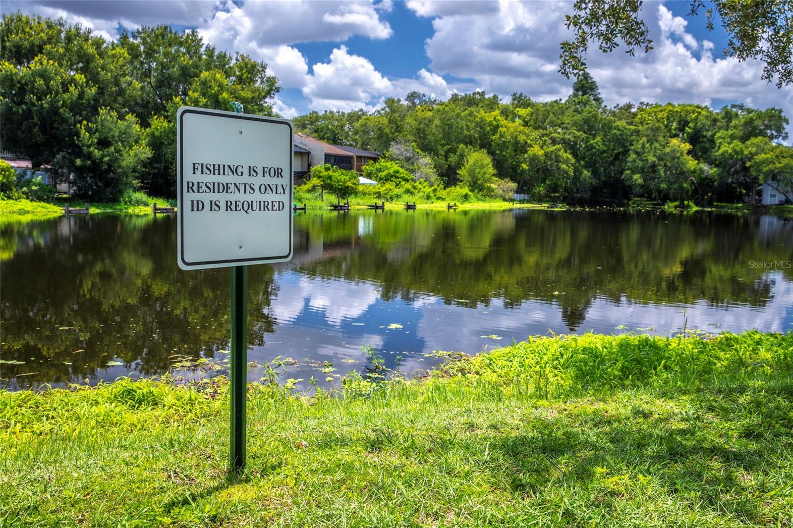 7402 E BANK DR, TAMPA, FL, 33617