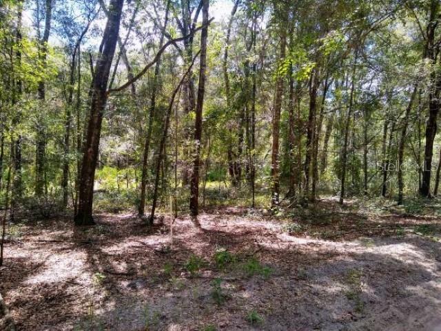 TBD SW 79TH PL, ARCHER, FL, 32618