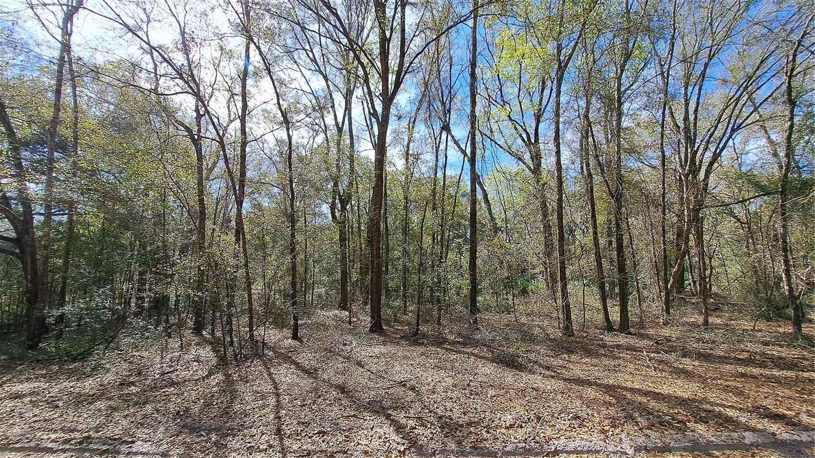 TBD SW 79TH PL, ARCHER, FL, 32618