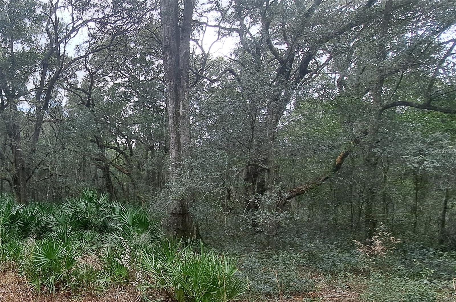 TBD SW 79TH PL, ARCHER, FL, 32618