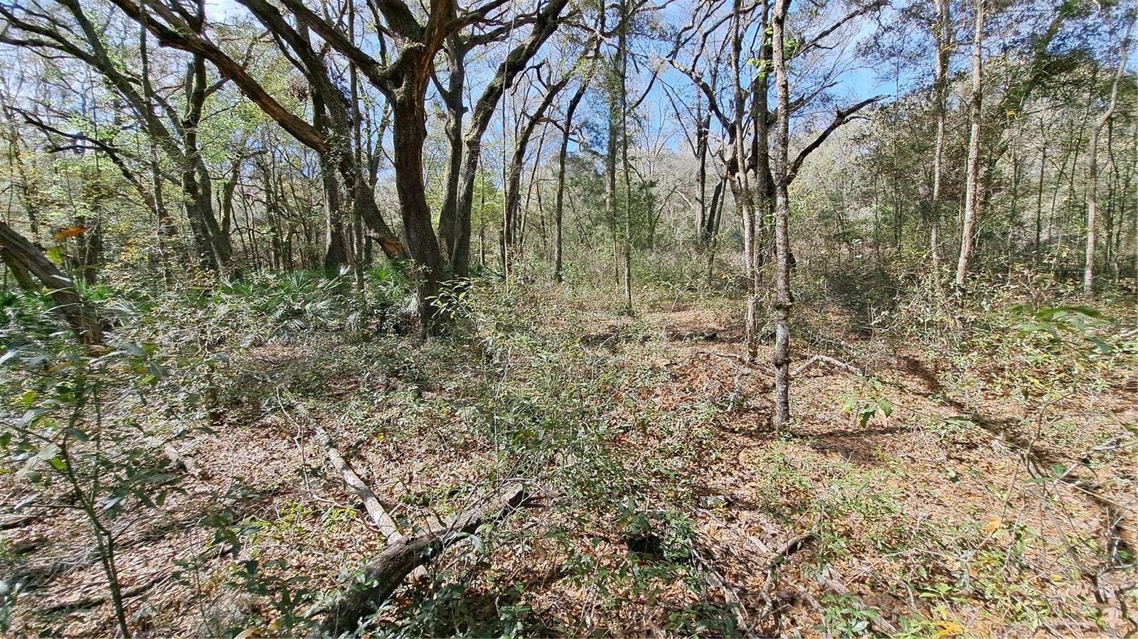 TBD SW 79TH PL, ARCHER, FL, 32618