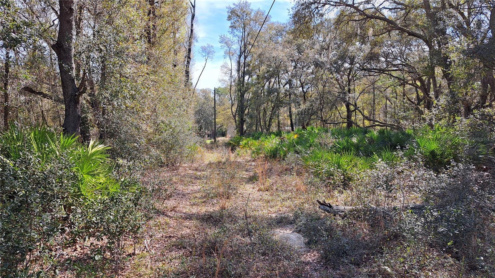 TBD SW 79TH PL, ARCHER, FL, 32618