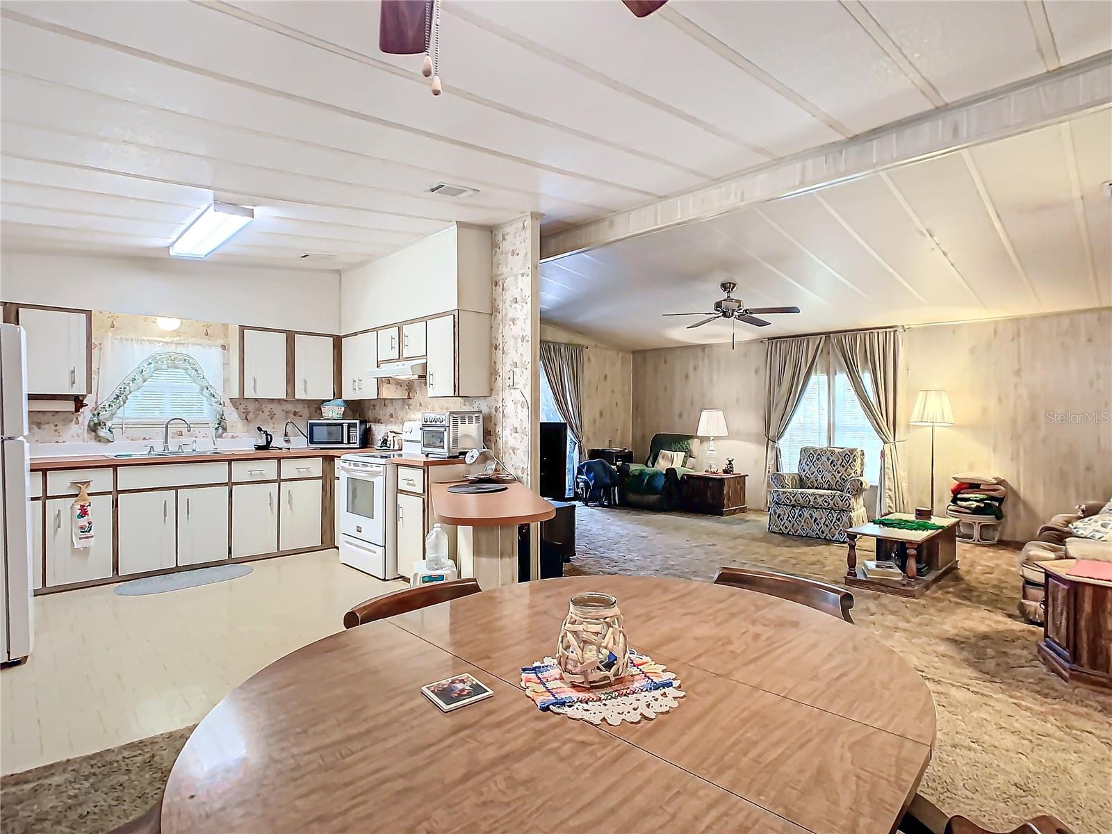 413 TIVOLI PARK DR, DAVENPORT, FL, 33897