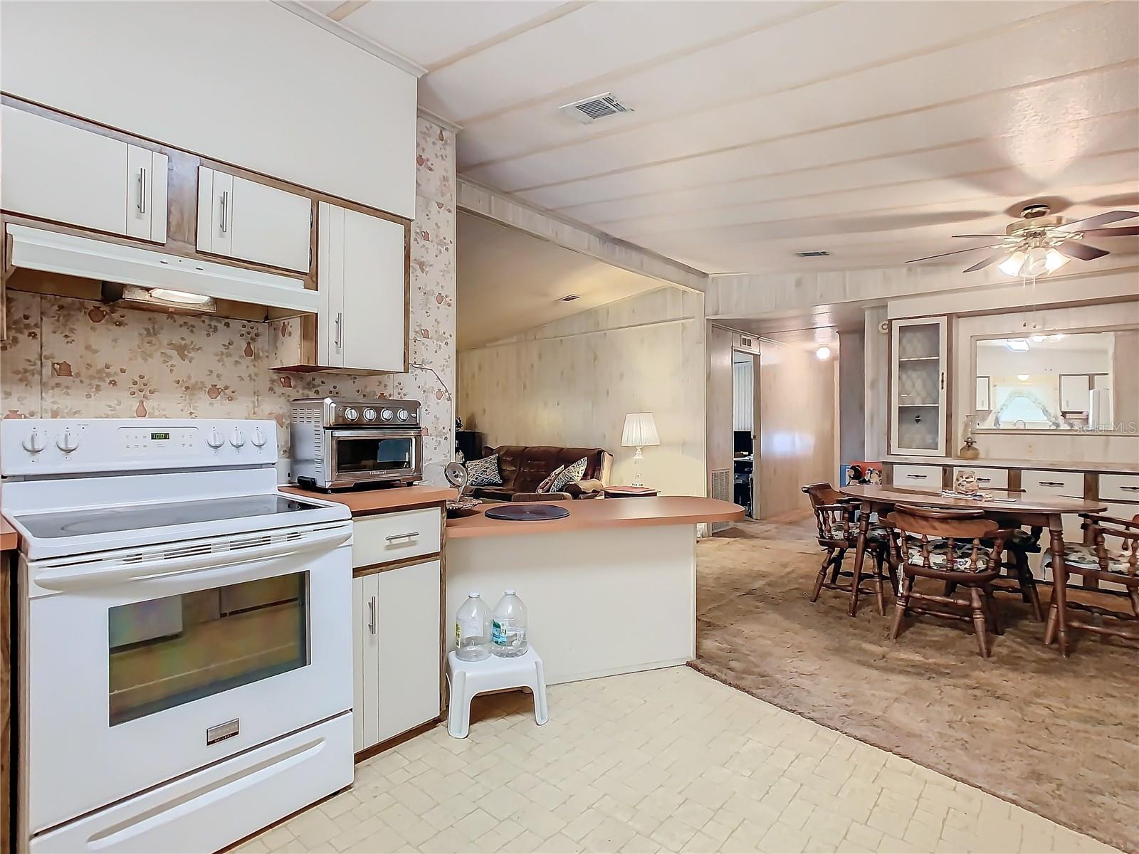 413 TIVOLI PARK DR, DAVENPORT, FL, 33897