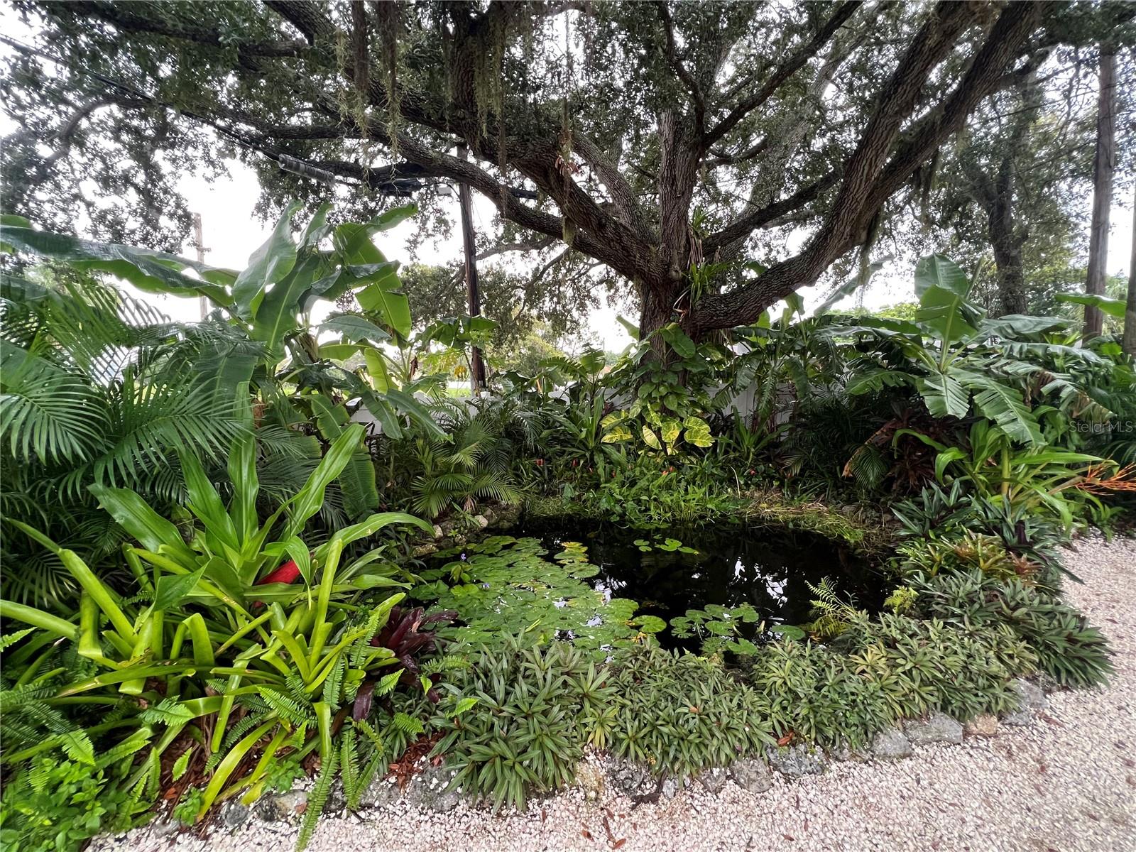 4695 86TH AVE N, PINELLAS PARK, FL, 33782