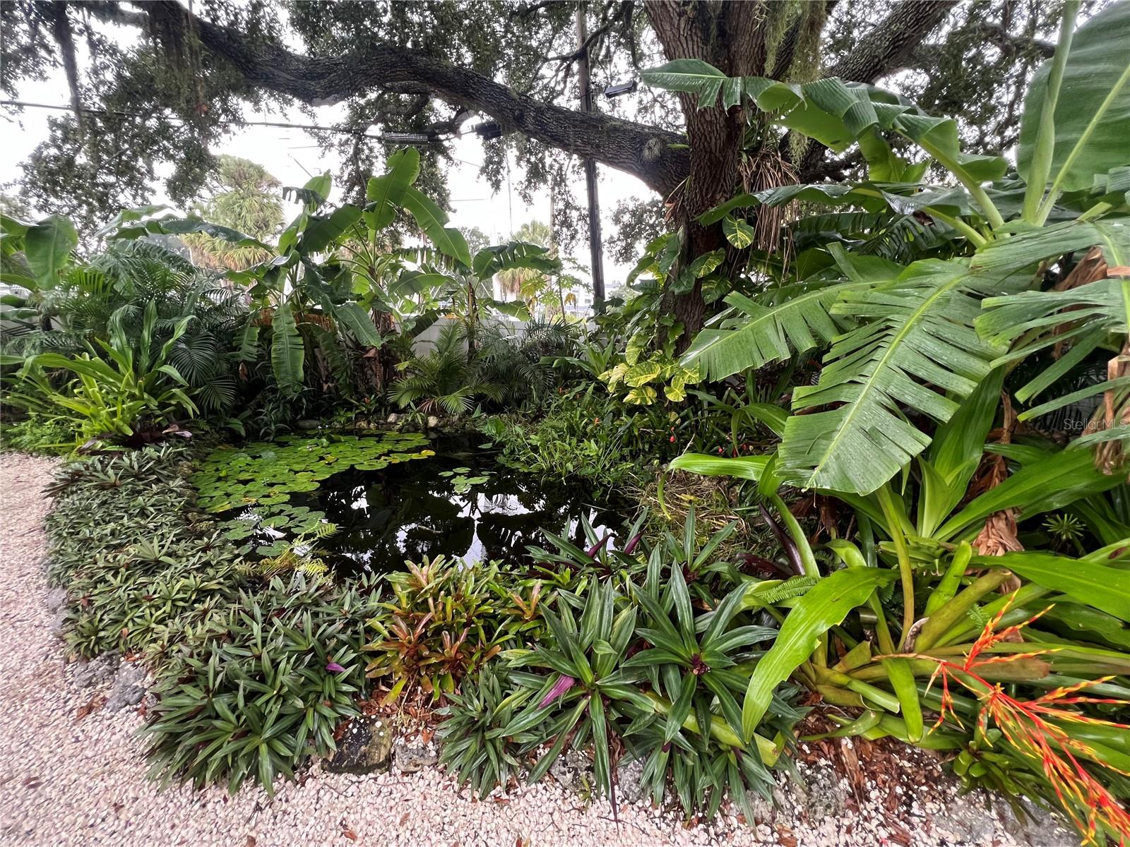 4695 86TH AVE N, PINELLAS PARK, FL, 33782