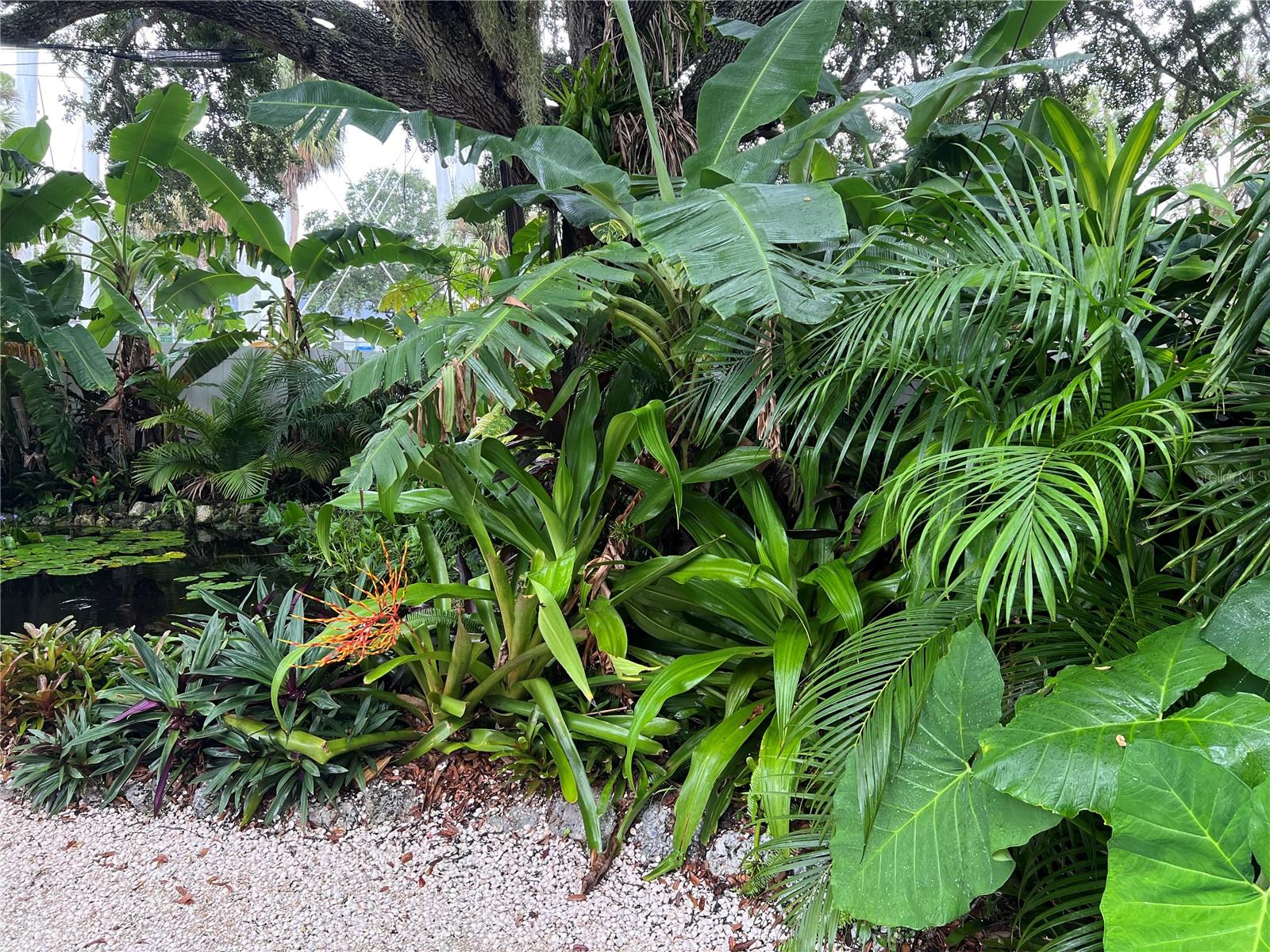 4695 86TH AVE N, PINELLAS PARK, FL, 33782