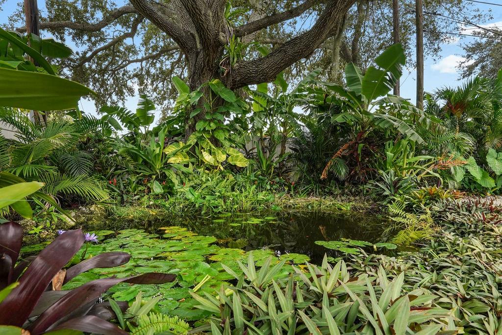 4695 86TH AVE N, PINELLAS PARK, FL, 33782