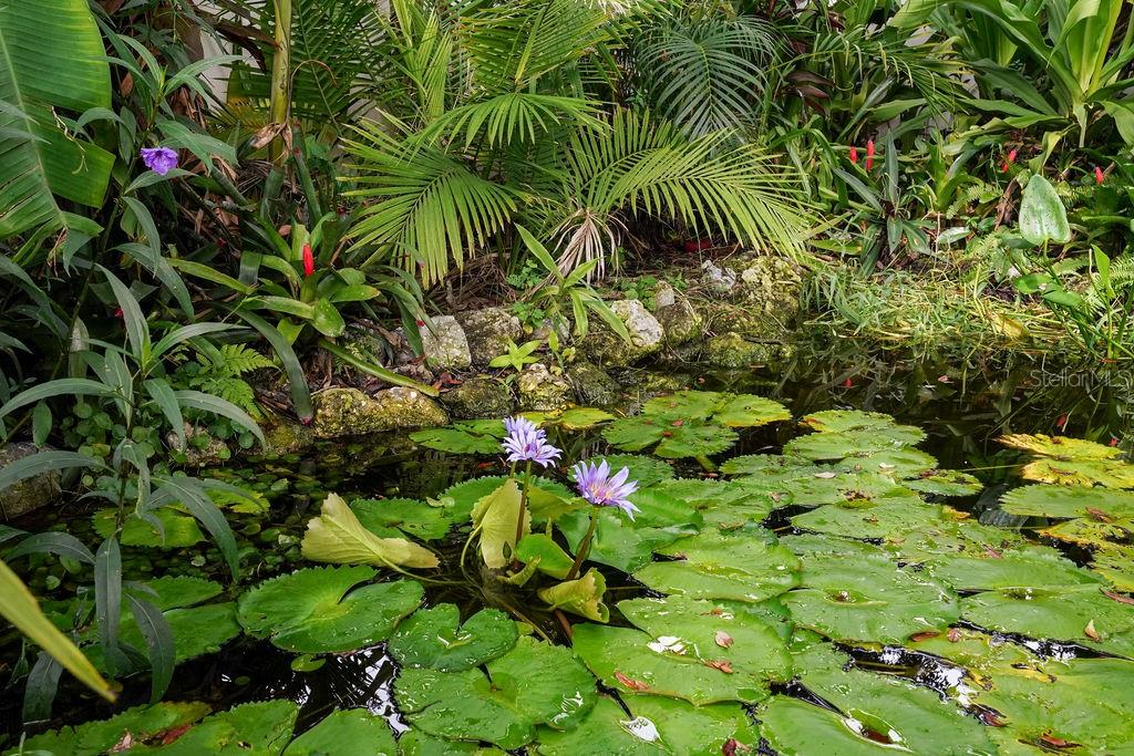 4695 86TH AVE N, PINELLAS PARK, FL, 33782