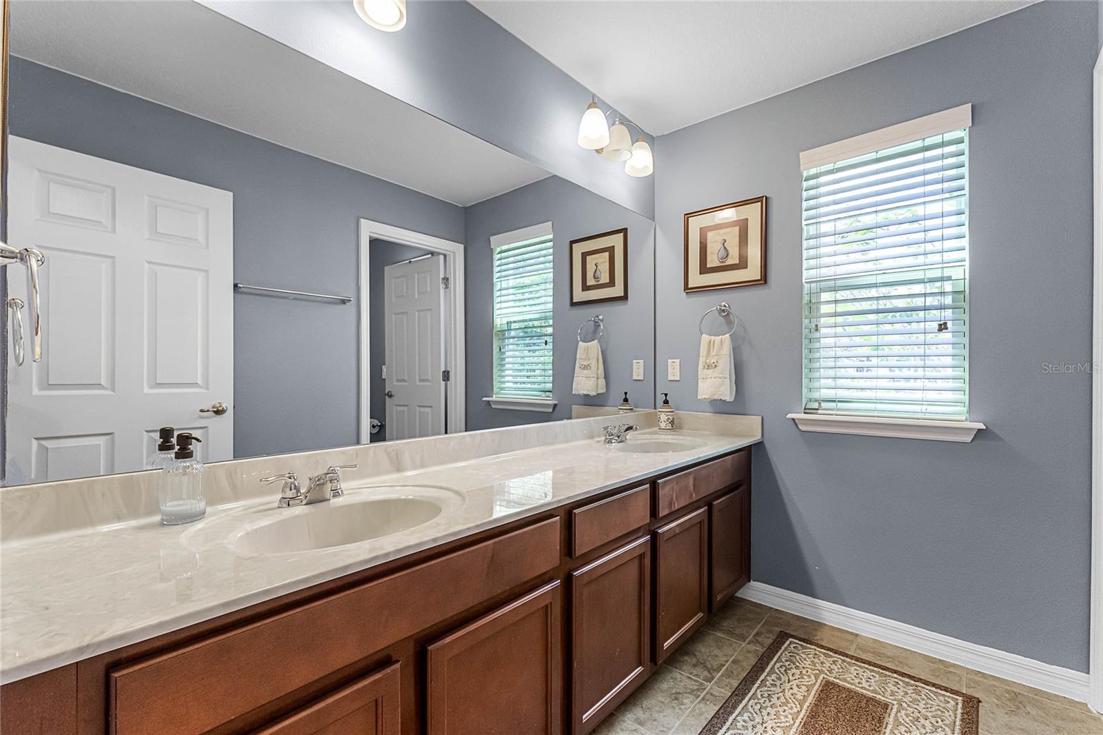 11668 BLACK RAIL ST, WINDERMERE, FL, 34786