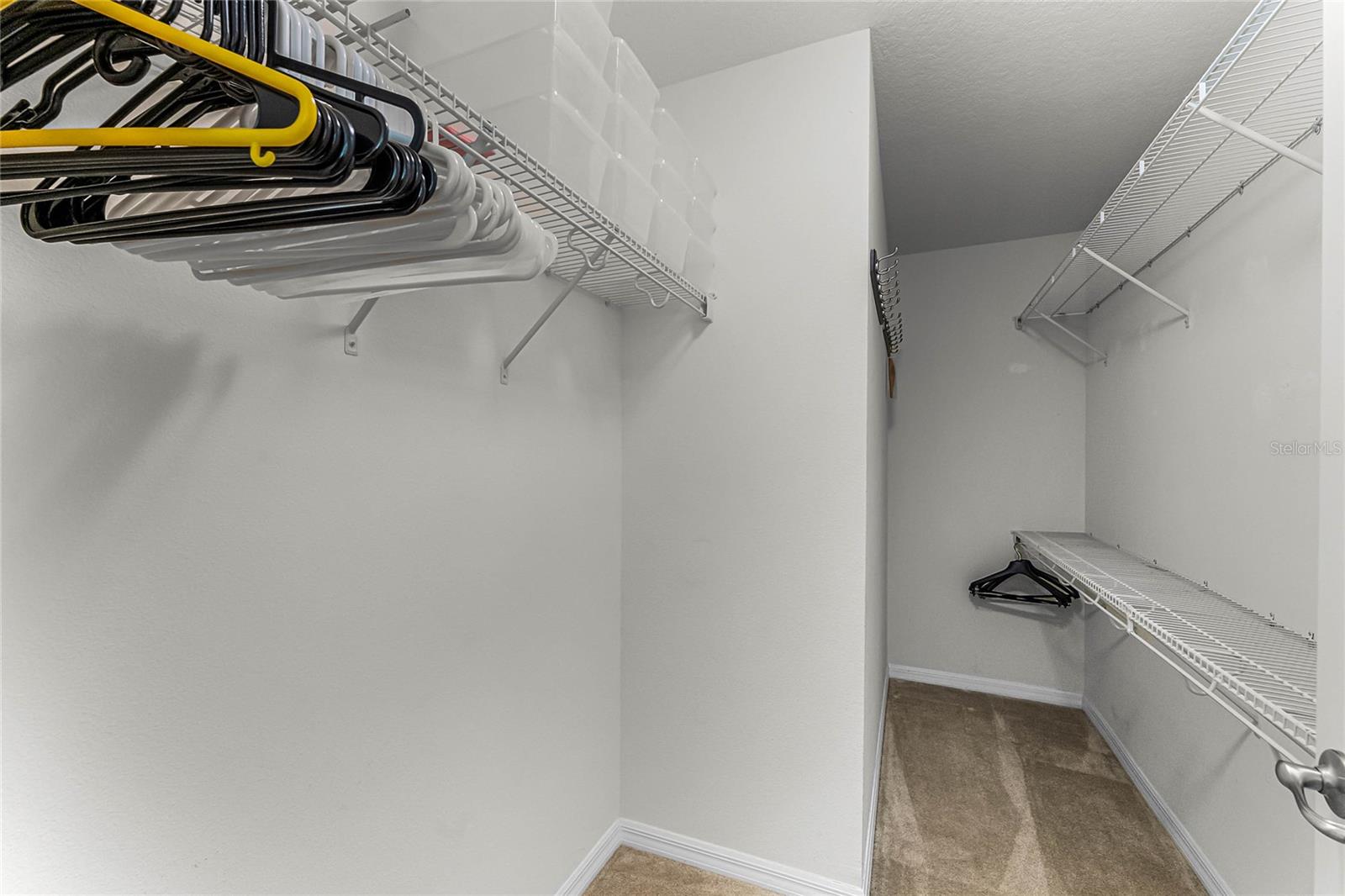 11668 BLACK RAIL ST, WINDERMERE, FL, 34786