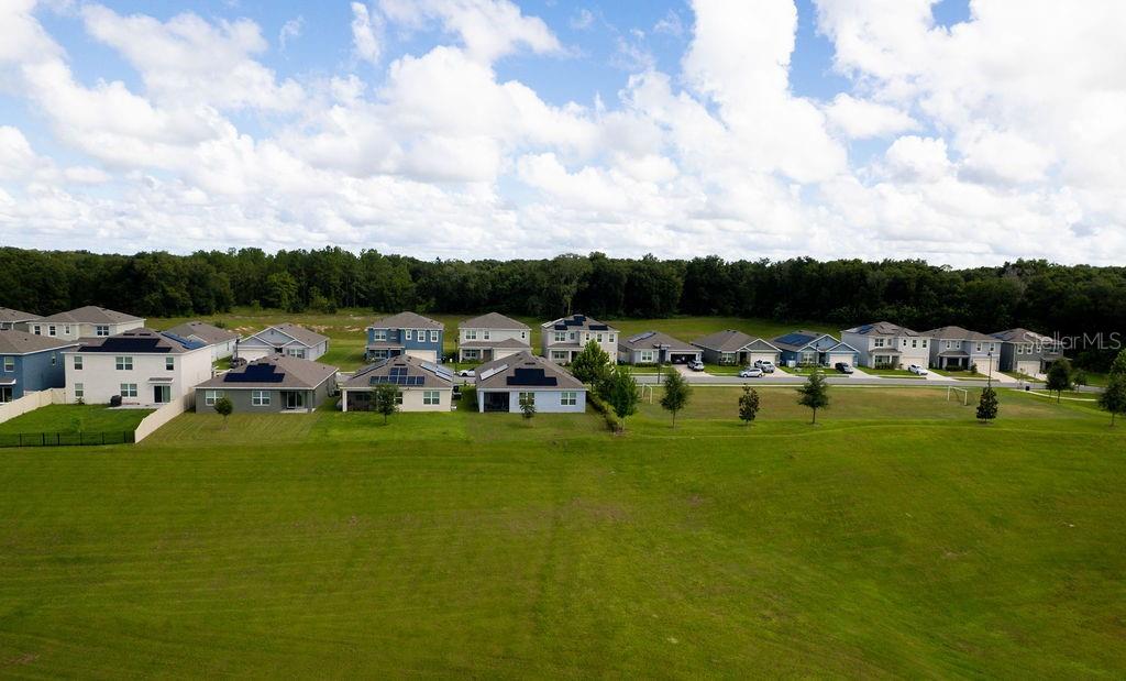 3332 LOGAN BERRY DR, MOUNT DORA, FL, 32757