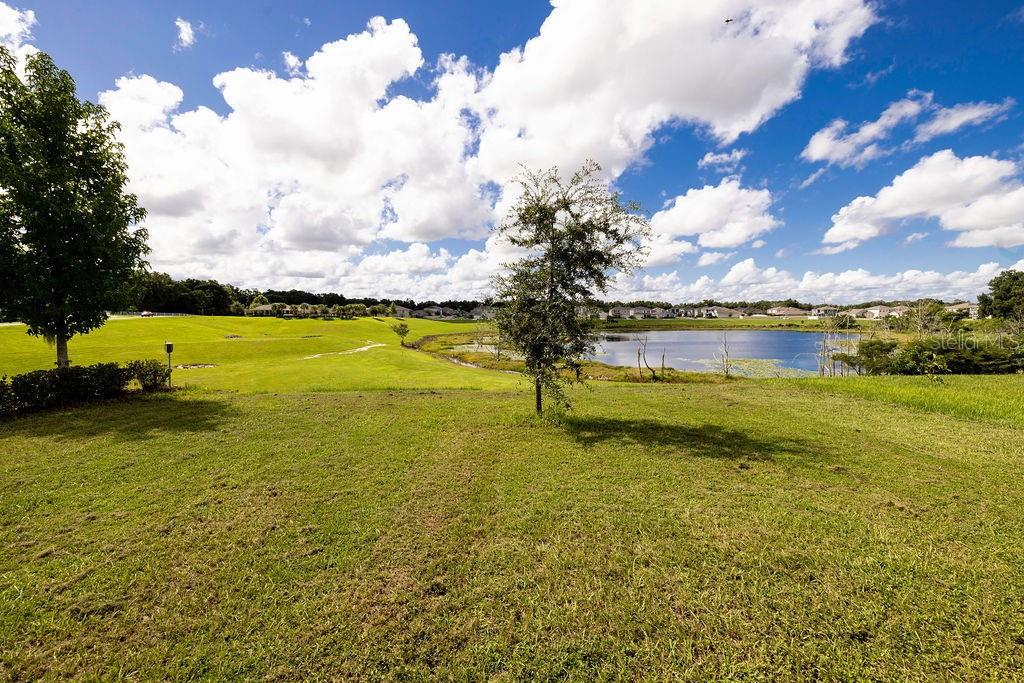 3332 LOGAN BERRY DR, MOUNT DORA, FL, 32757