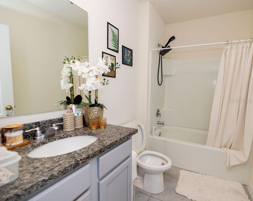 3332 LOGAN BERRY DR, MOUNT DORA, FL, 32757