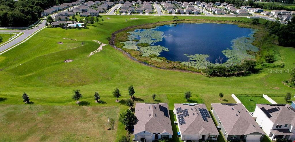 3332 LOGAN BERRY DR, MOUNT DORA, FL, 32757