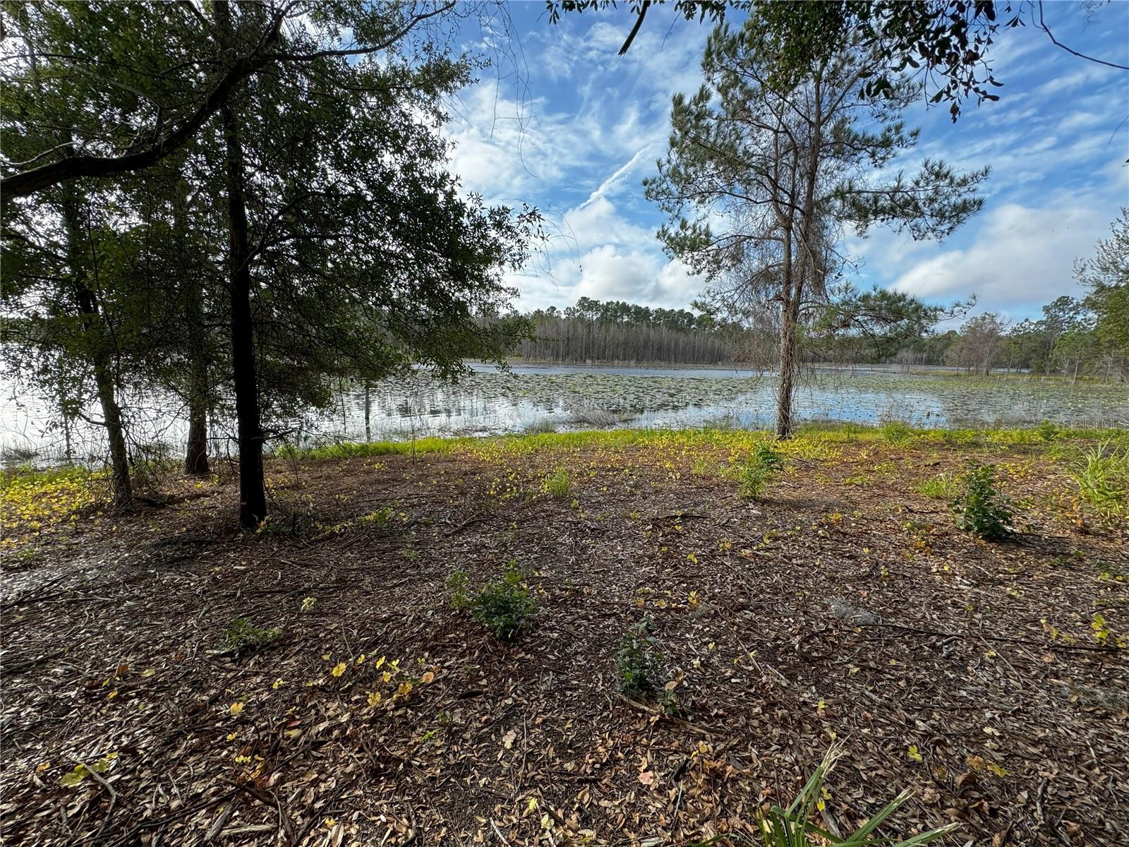 LOT 2 KEENE RD, ALTOONA, FL, 32702