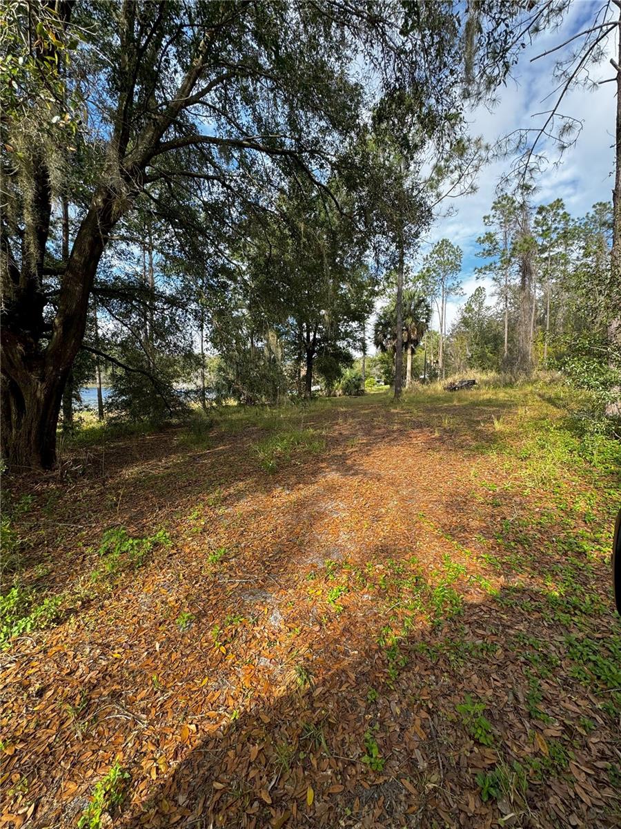 LOT 2 KEENE RD, ALTOONA, FL, 32702