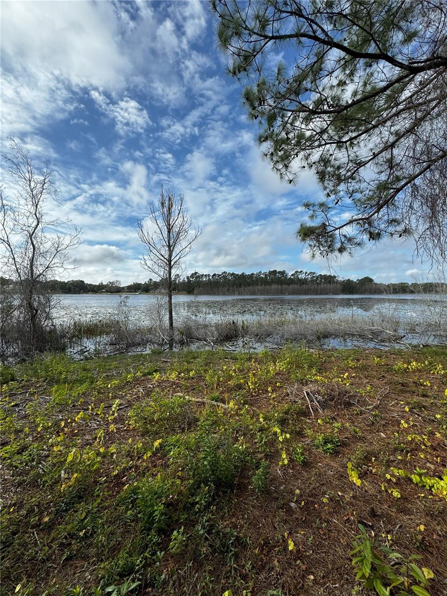 LOT 2 KEENE RD, ALTOONA, FL, 32702