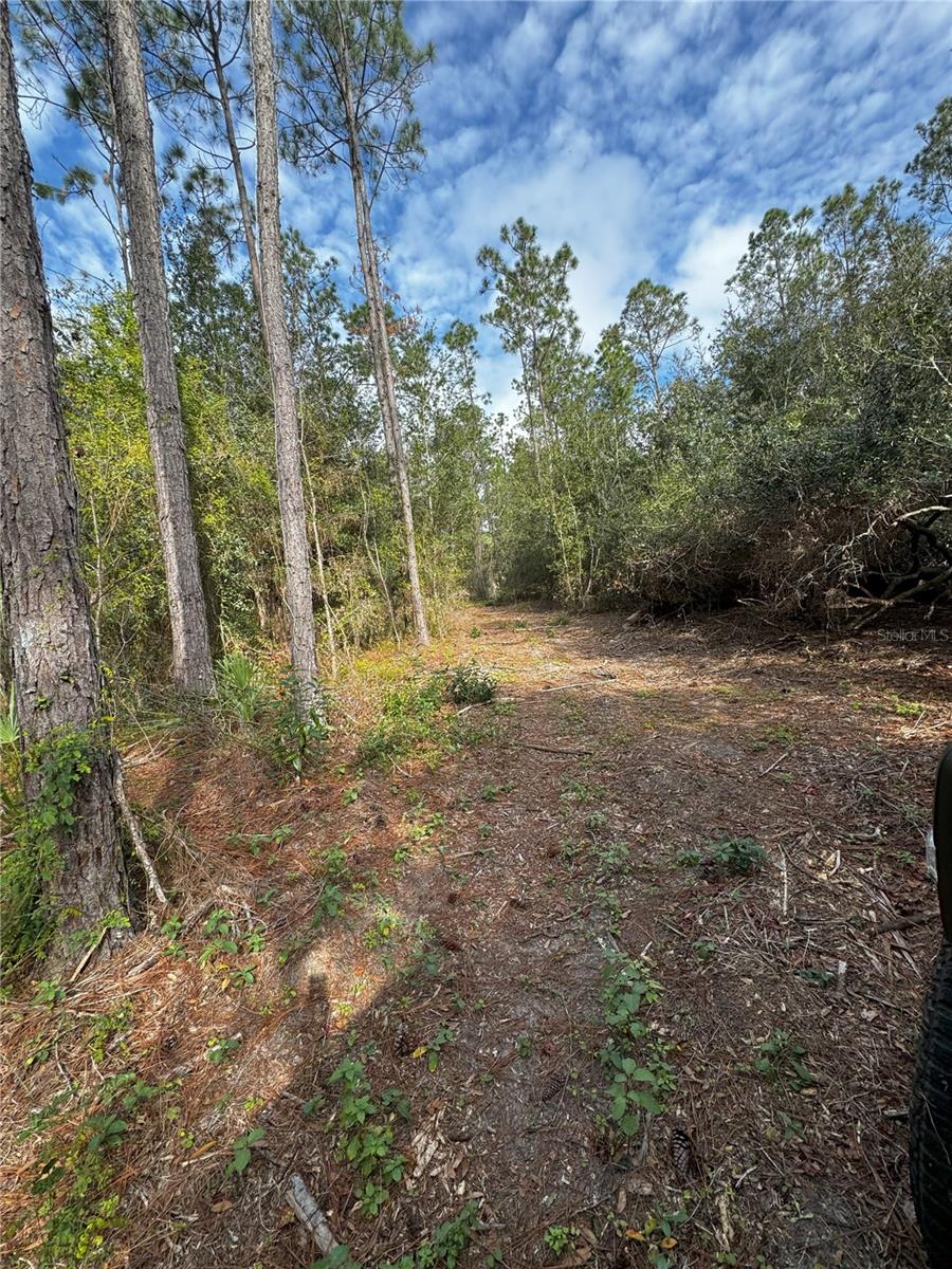 LOT 2 KEENE RD, ALTOONA, FL, 32702