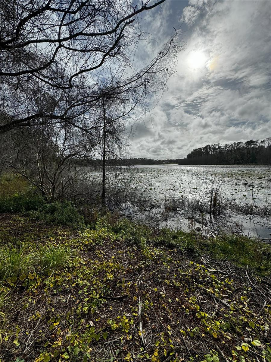 LOT 2 KEENE RD, ALTOONA, FL, 32702