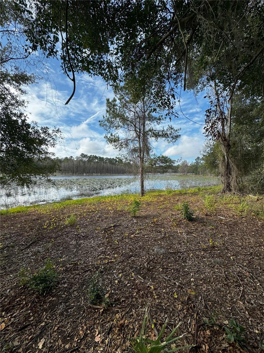 LOT 2 KEENE RD, ALTOONA, FL, 32702
