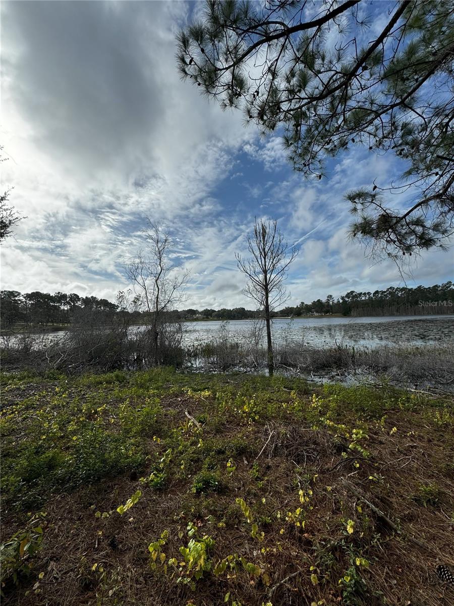 LOT 2 KEENE RD, ALTOONA, FL, 32702