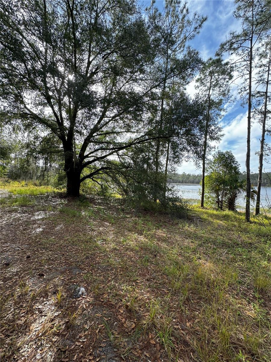 LOT 2 KEENE RD, ALTOONA, FL, 32702