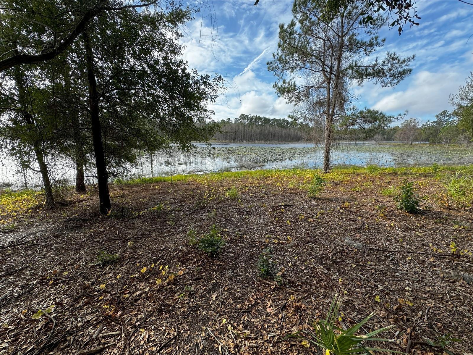 LOT 2 KEENE RD, ALTOONA, FL, 32702