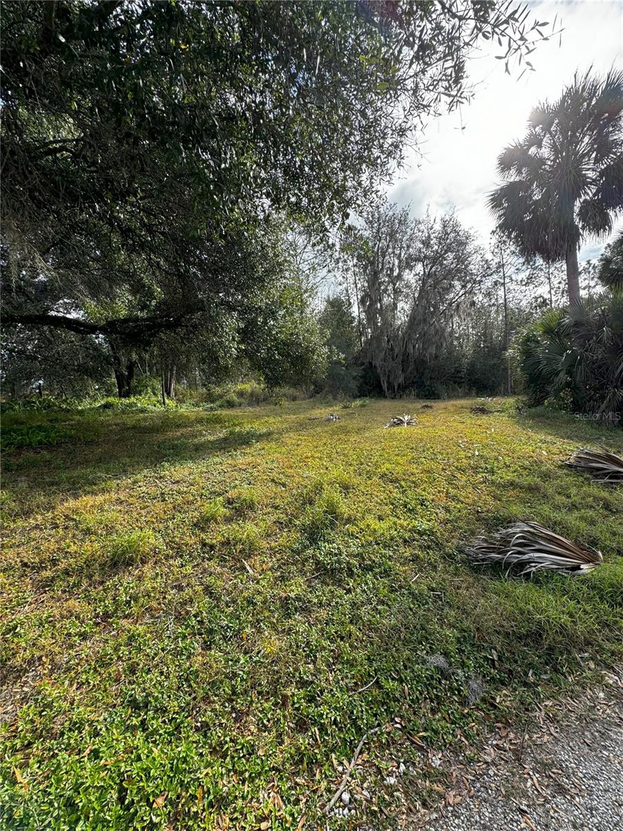 LOT 2 KEENE RD, ALTOONA, FL, 32702