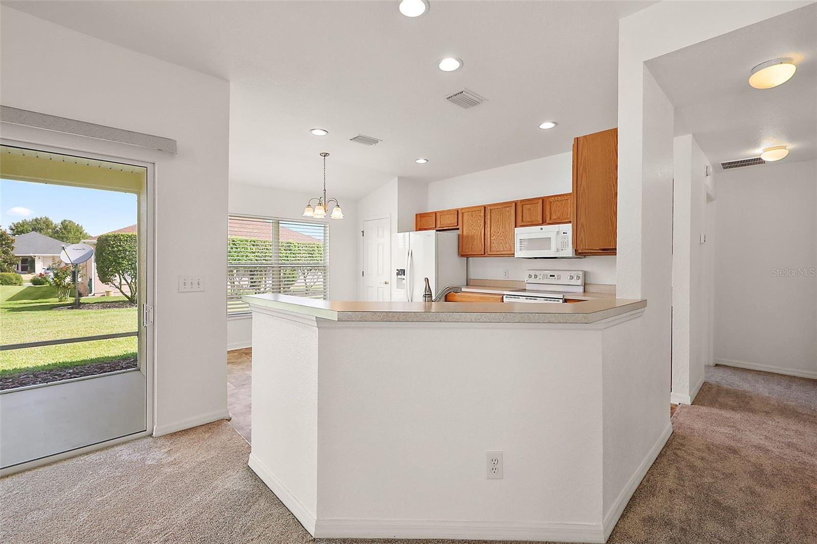 8601 SE 133RD ST, SUMMERFIELD, FL, 34491
