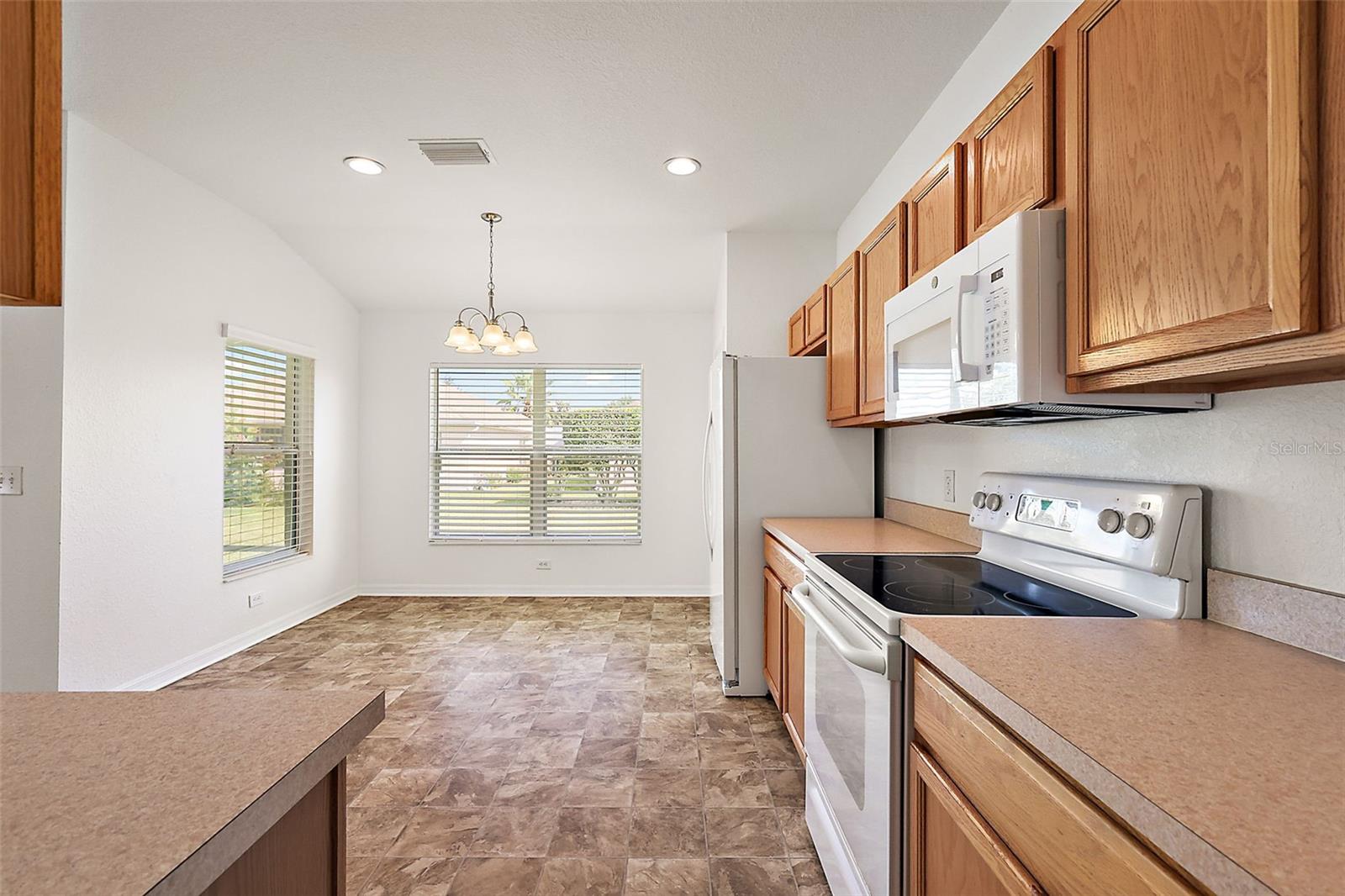 8601 SE 133RD ST, SUMMERFIELD, FL, 34491