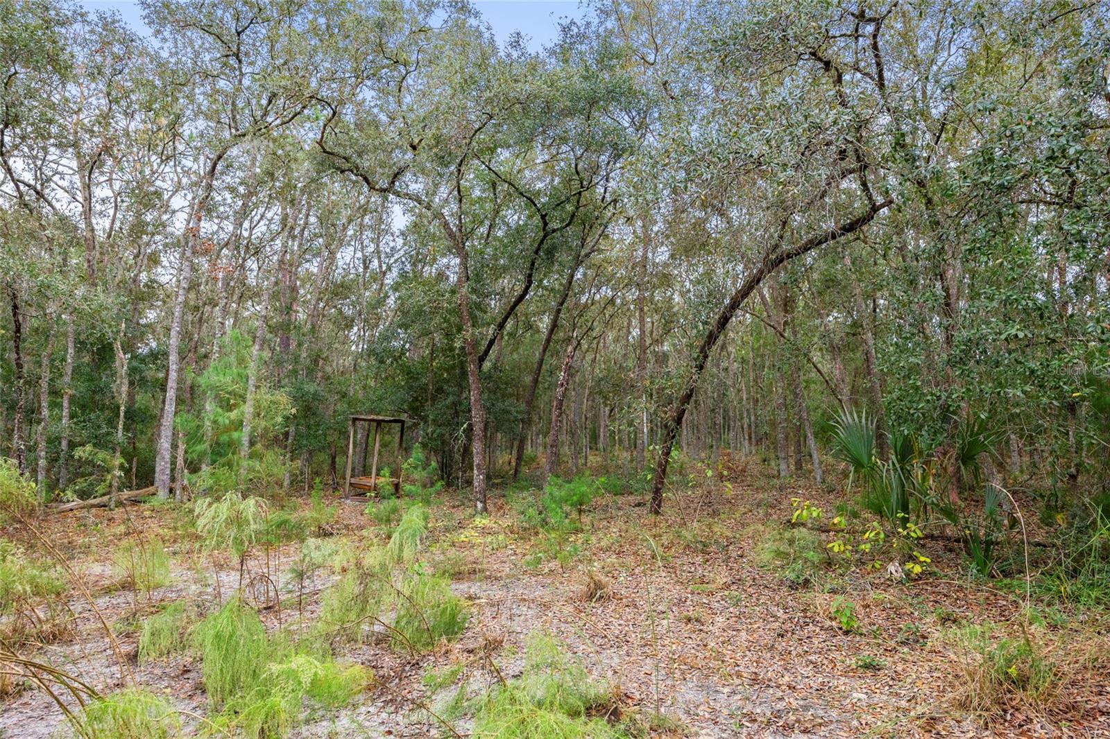 189 SISCO RD, POMONA PARK, FL, 32181