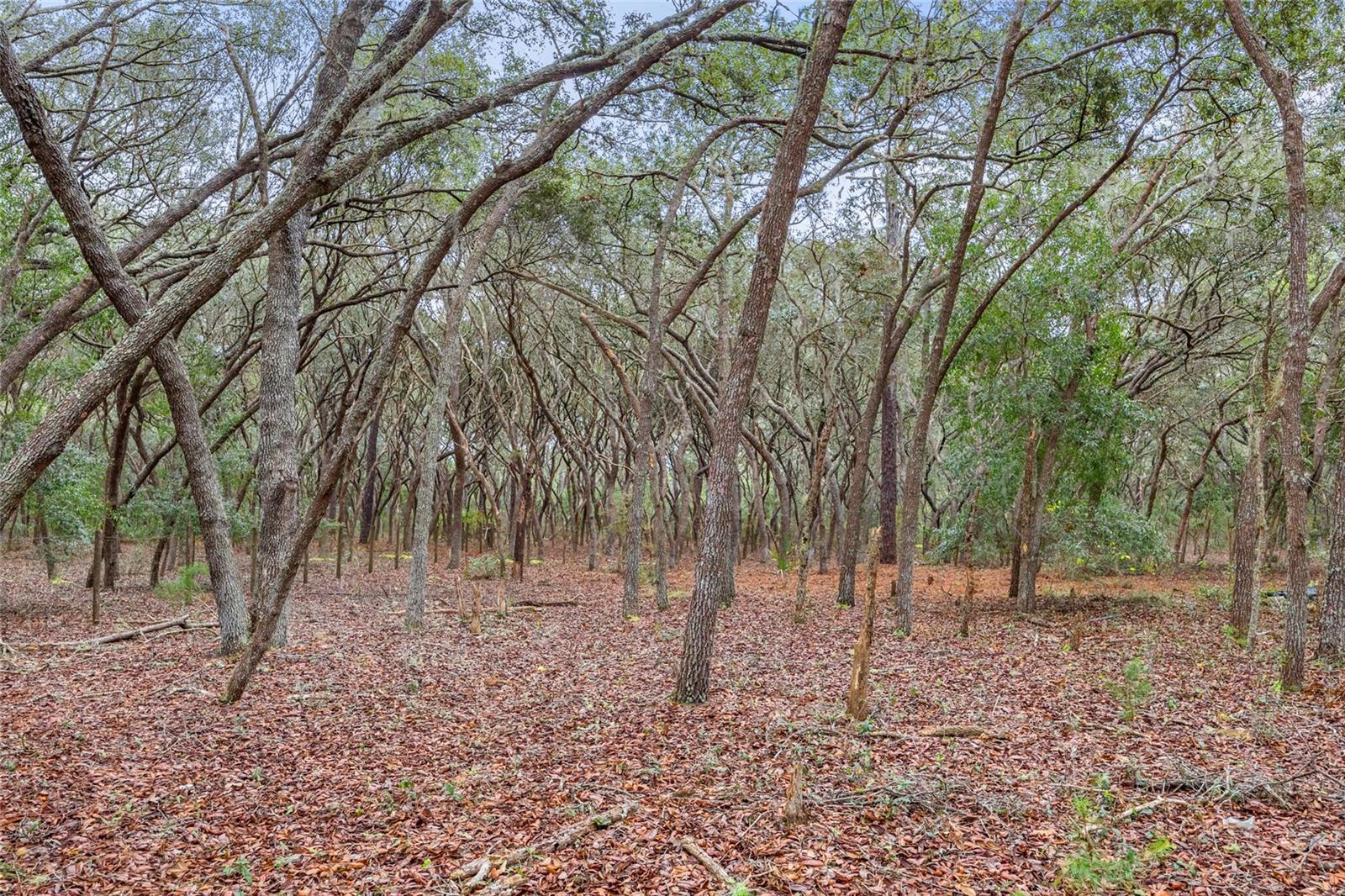 189 SISCO RD, POMONA PARK, FL, 32181