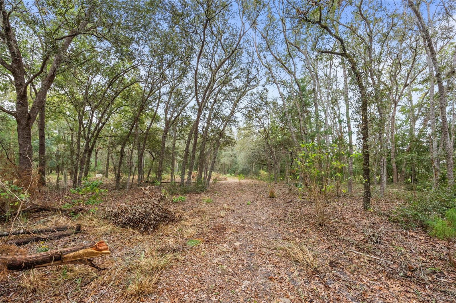 189 SISCO RD, POMONA PARK, FL, 32181