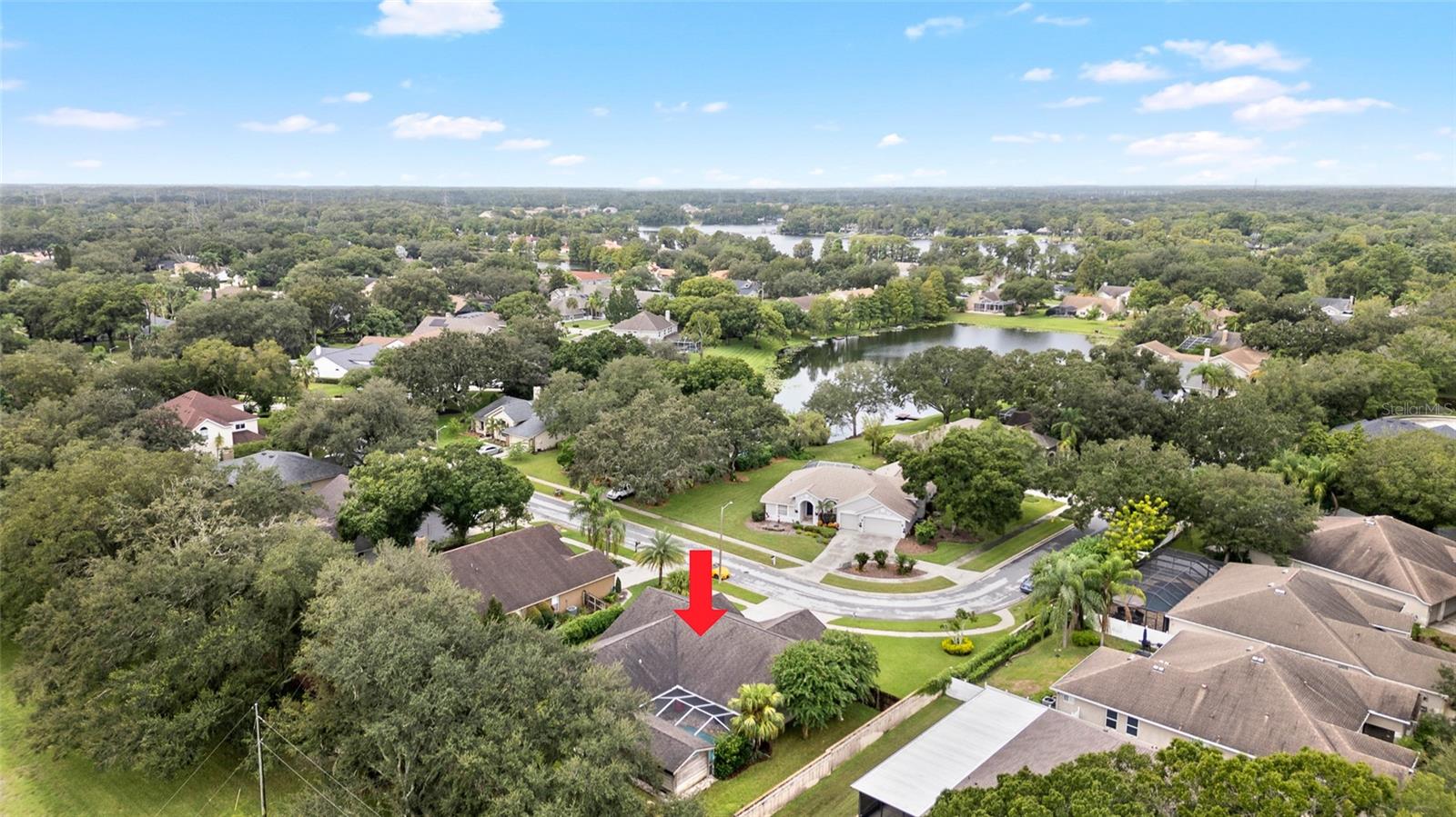8421 RIDGEBROOK CIR, ODESSA, FL, 33556