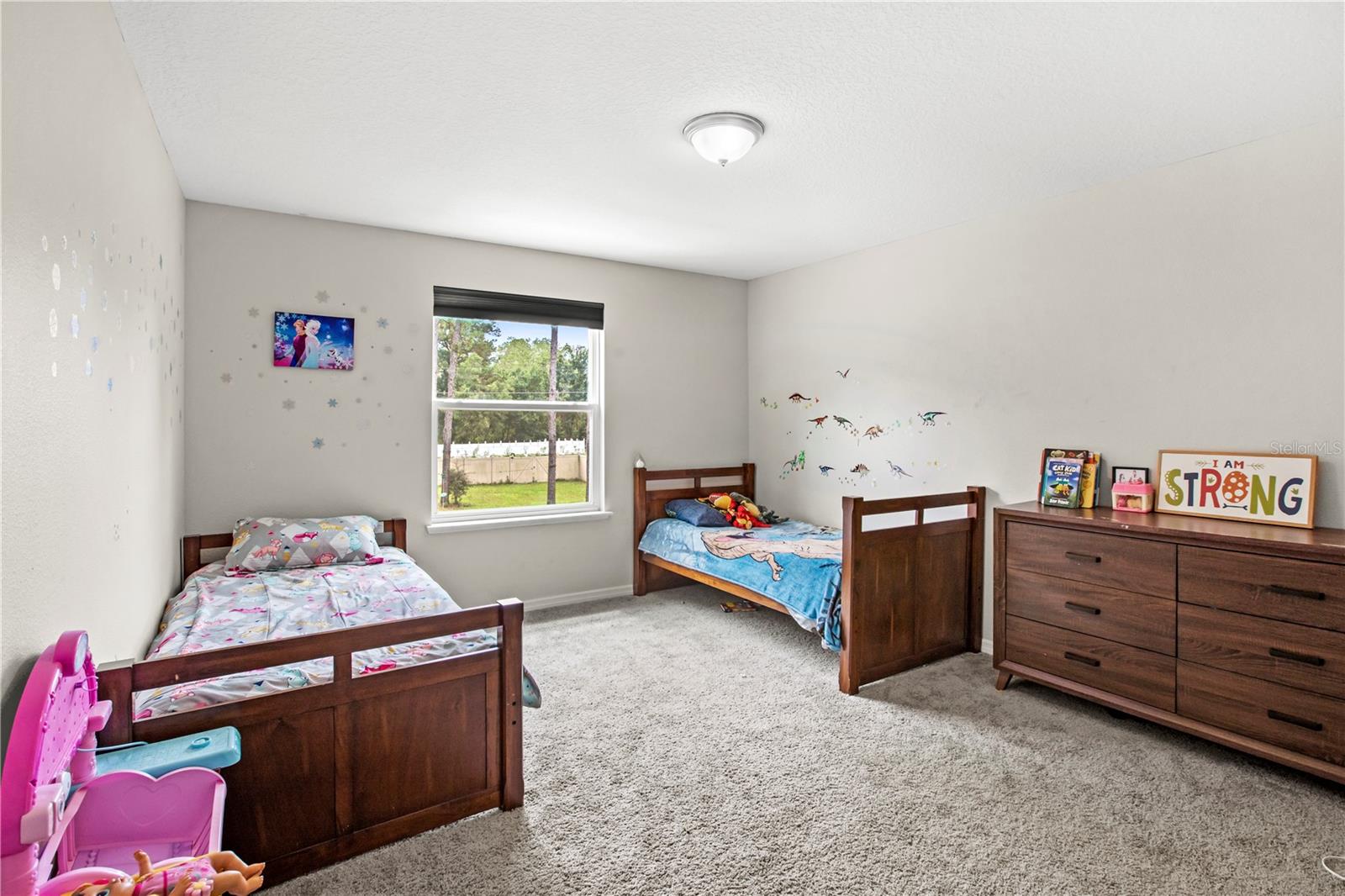 23548 STREAM AVE, SORRENTO, FL, 32776