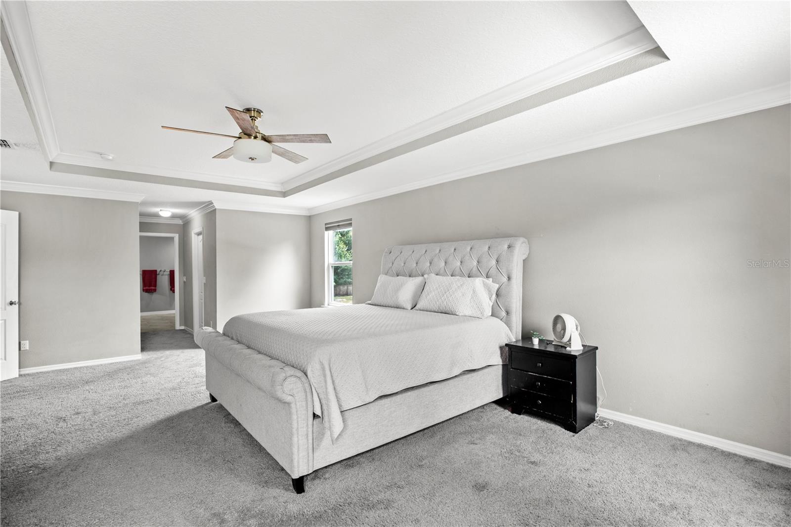 23548 STREAM AVE, SORRENTO, FL, 32776