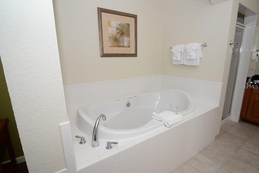 8125 RESORT VILLAGE DR #3514, ORLANDO, FL, 32821