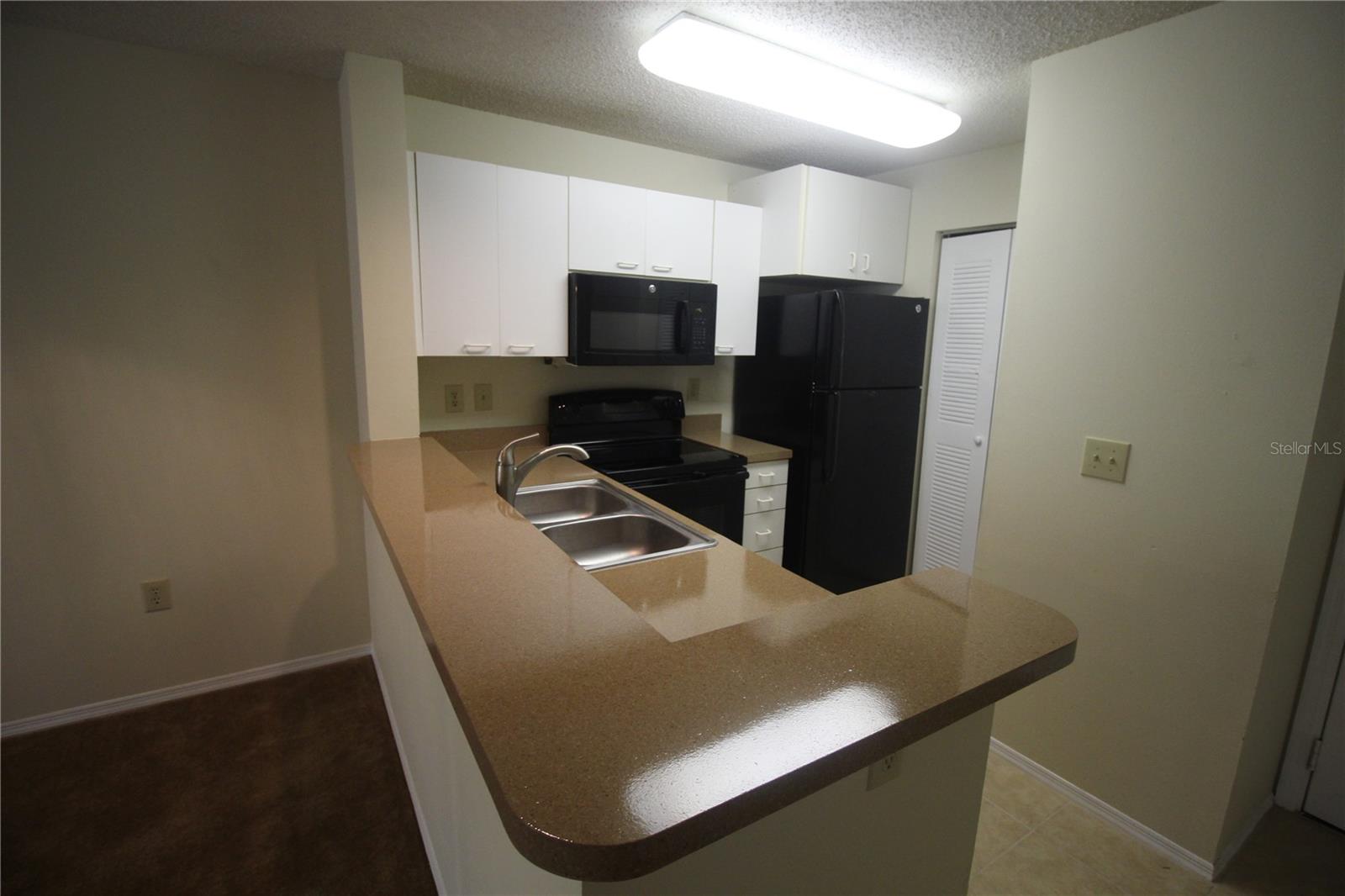 10024 STRAFFORD OAK CT #813, TAMPA, FL, 33624
