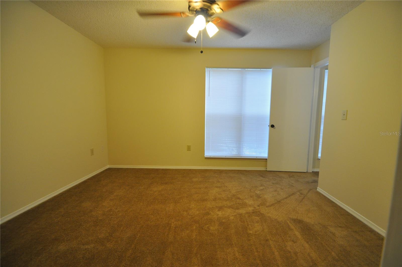 10024 STRAFFORD OAK CT #813, TAMPA, FL, 33624