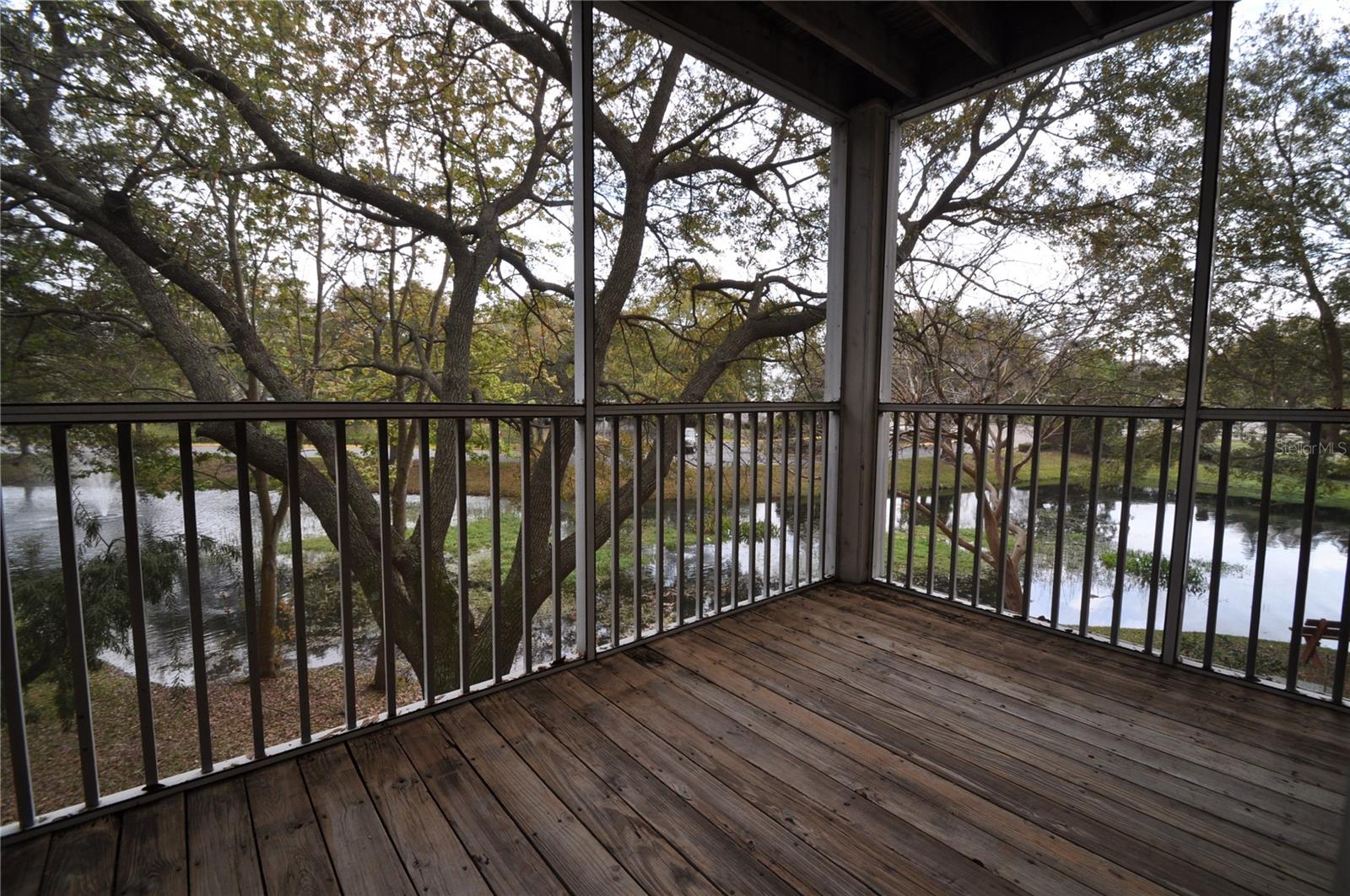 10024 STRAFFORD OAK CT #813, TAMPA, FL, 33624