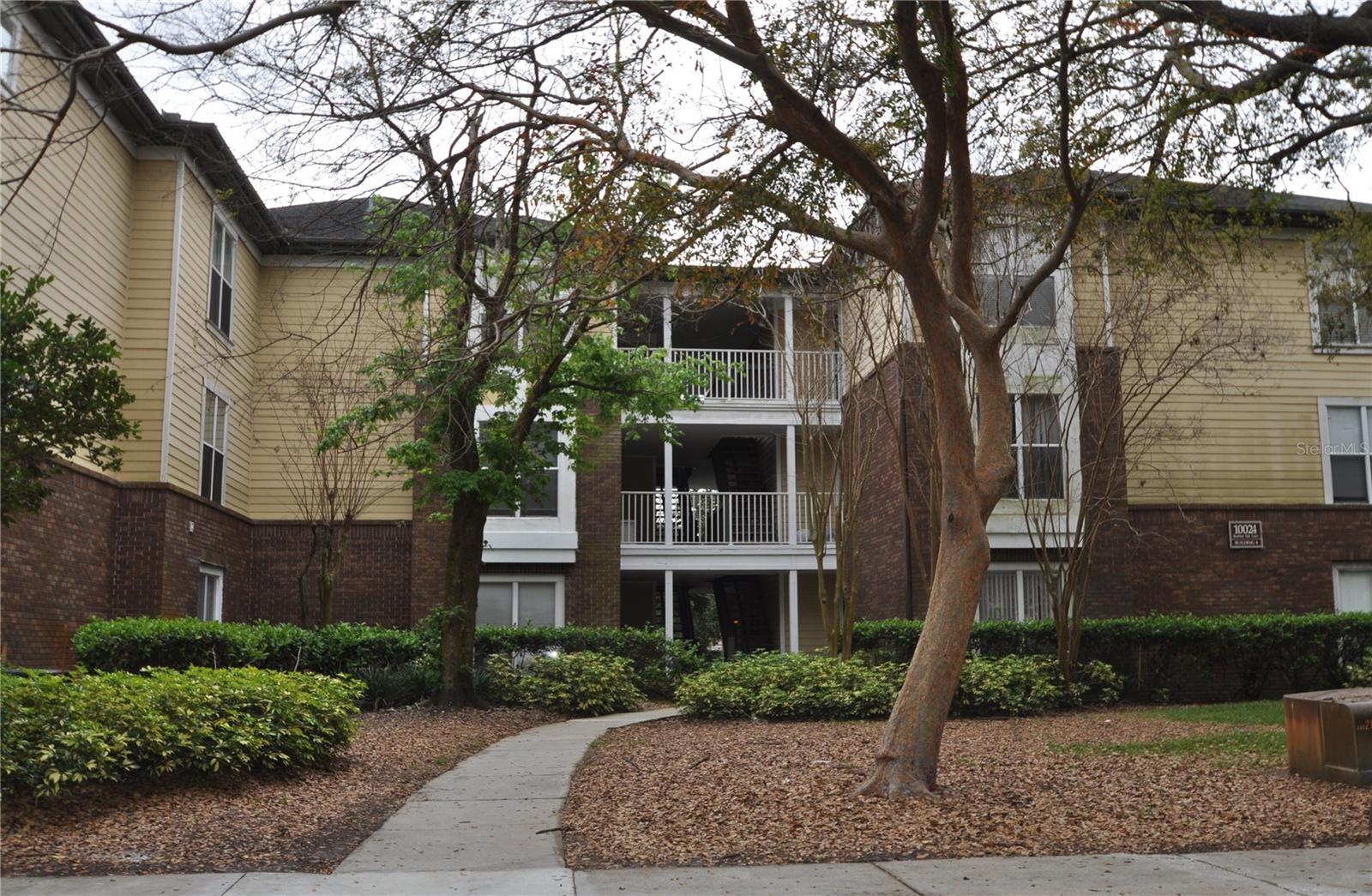 10024 STRAFFORD OAK CT #813, TAMPA, FL, 33624